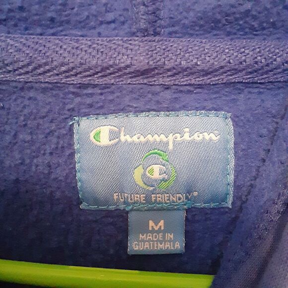 Florida Gators UF Champion Men's Pullover Hoodie Sweatshirt Blue Medium NCAA - Picture 7 of 11